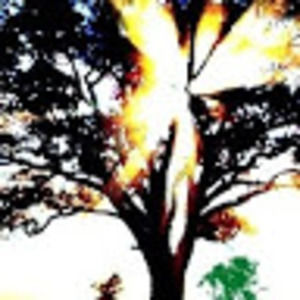 Meet your Posher, Cedric